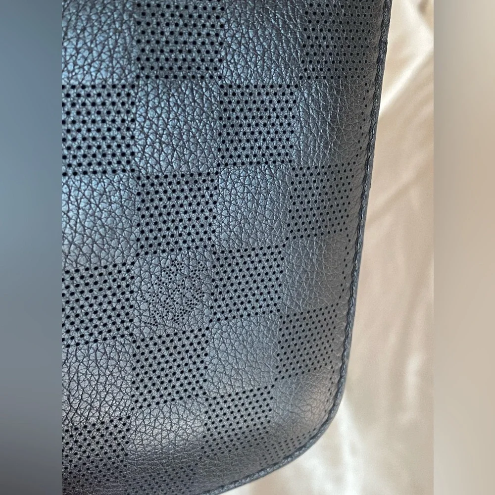 Louis Vuitton Damier Graphite Leather case